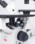 AE31E with FITC and TRITC Filter Fluorescence Bundle