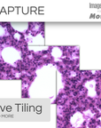 PA53-Clinical & Image Pro® Analysis Package