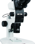 SM12