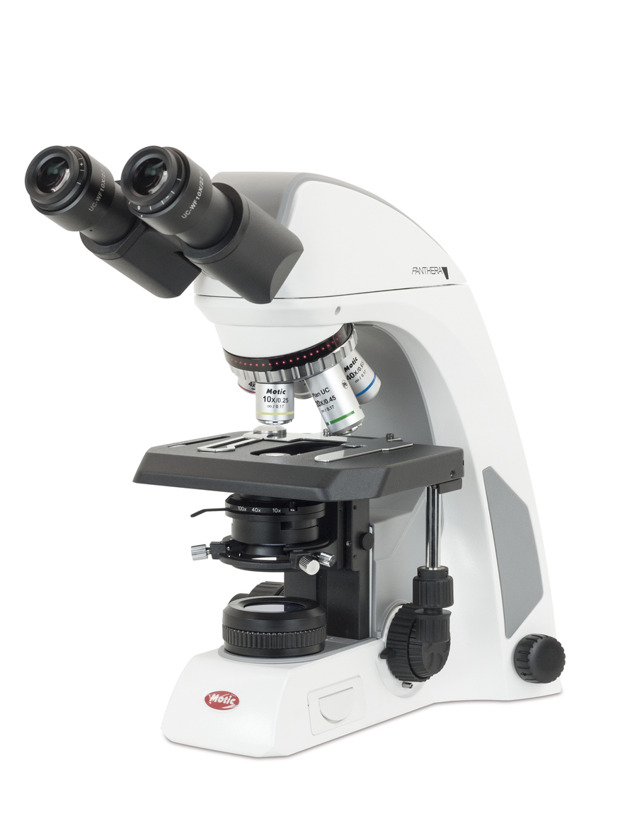 Panthera L - Motic Microscopes