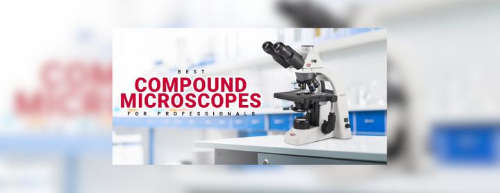 Best Compound Microscopes for Professionals