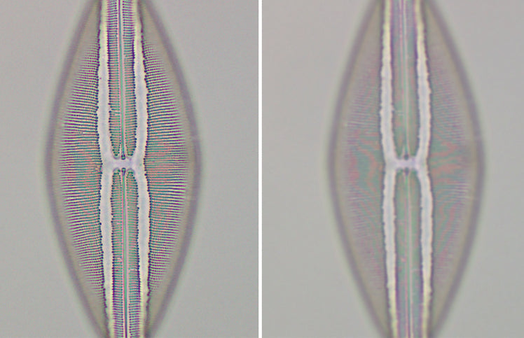 Abic Microscopy Basic Microscopy Concepts - Resolution & Magnification – Motic Microscopes