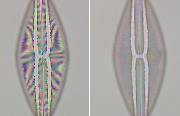 Basic Microscopy Concepts - Resolution & Magnification
