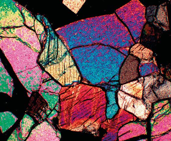 Basic Microscopy Concepts - Polarization Contrast