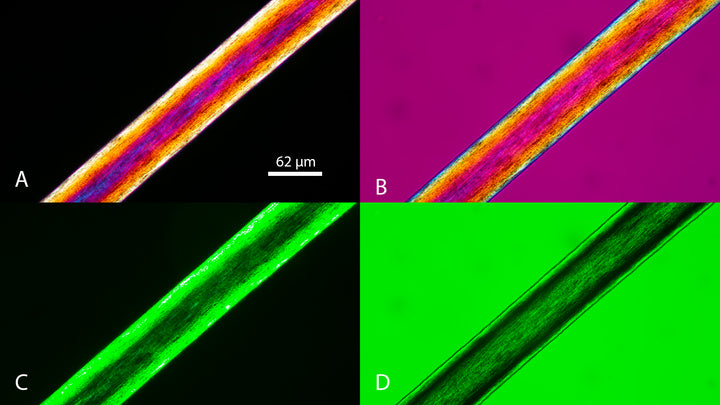 Human Scalp Hair 