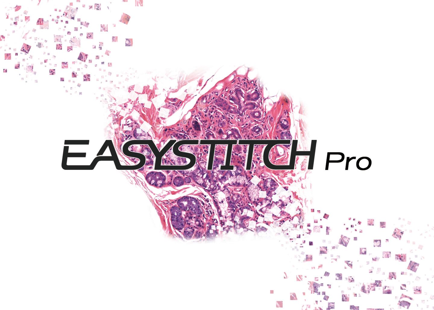 EasyStitch Pro