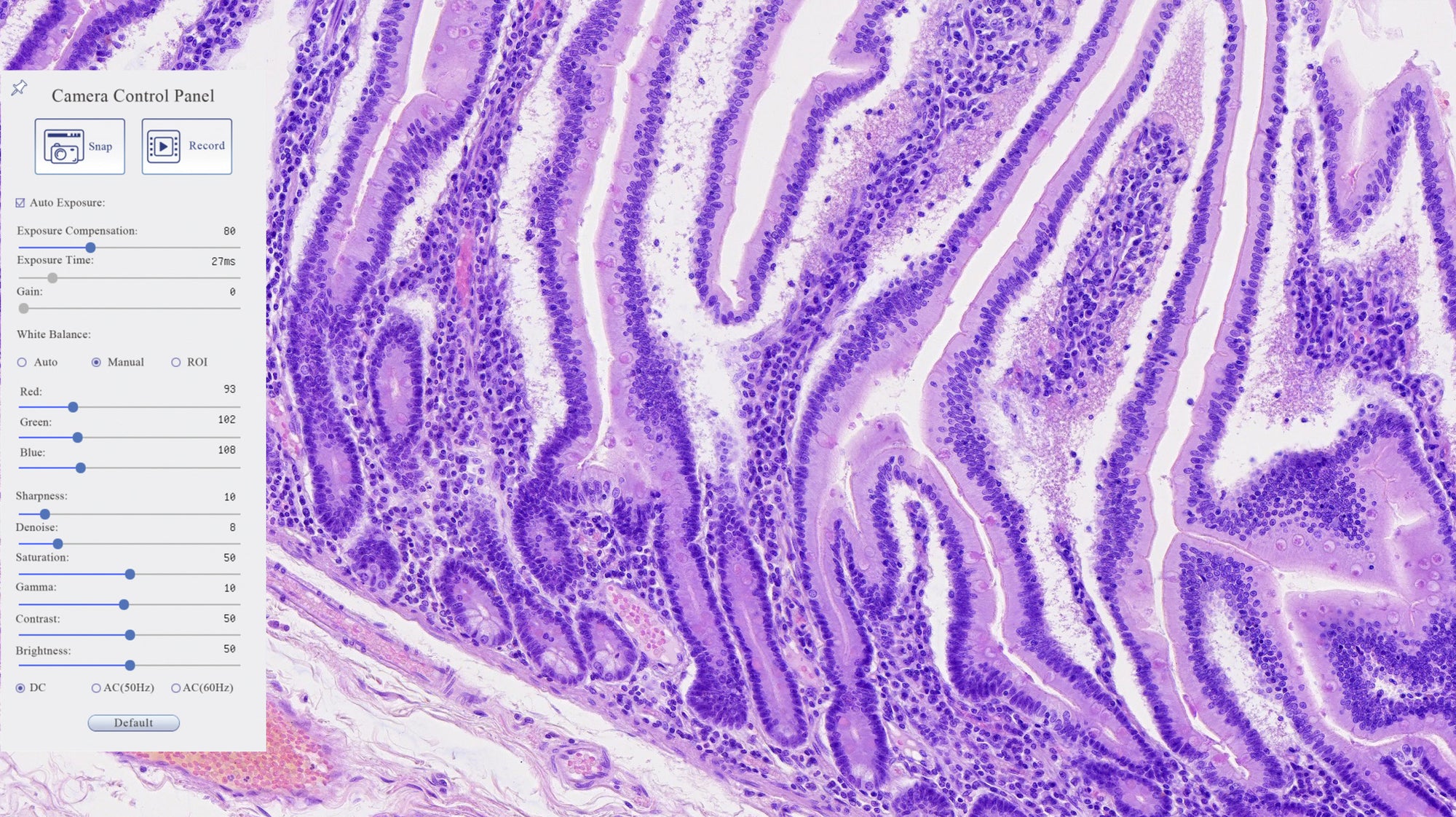 Moticam 4000X | Motic Microscopes