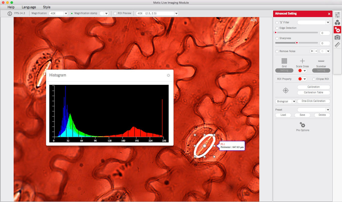 Motic Images Plus 3.1 Advanced (Includes USB Dongle) – Motic Microscopes