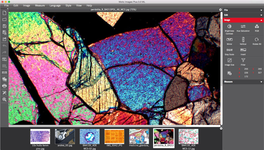 Motic Images Plus 3.1 Advanced (Includes USB Dongle)