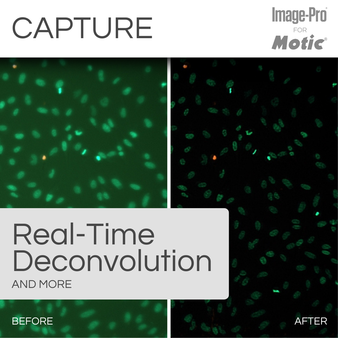 AE31E &amp; Image-Pro® Analysis Package