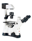 PX43 BIO