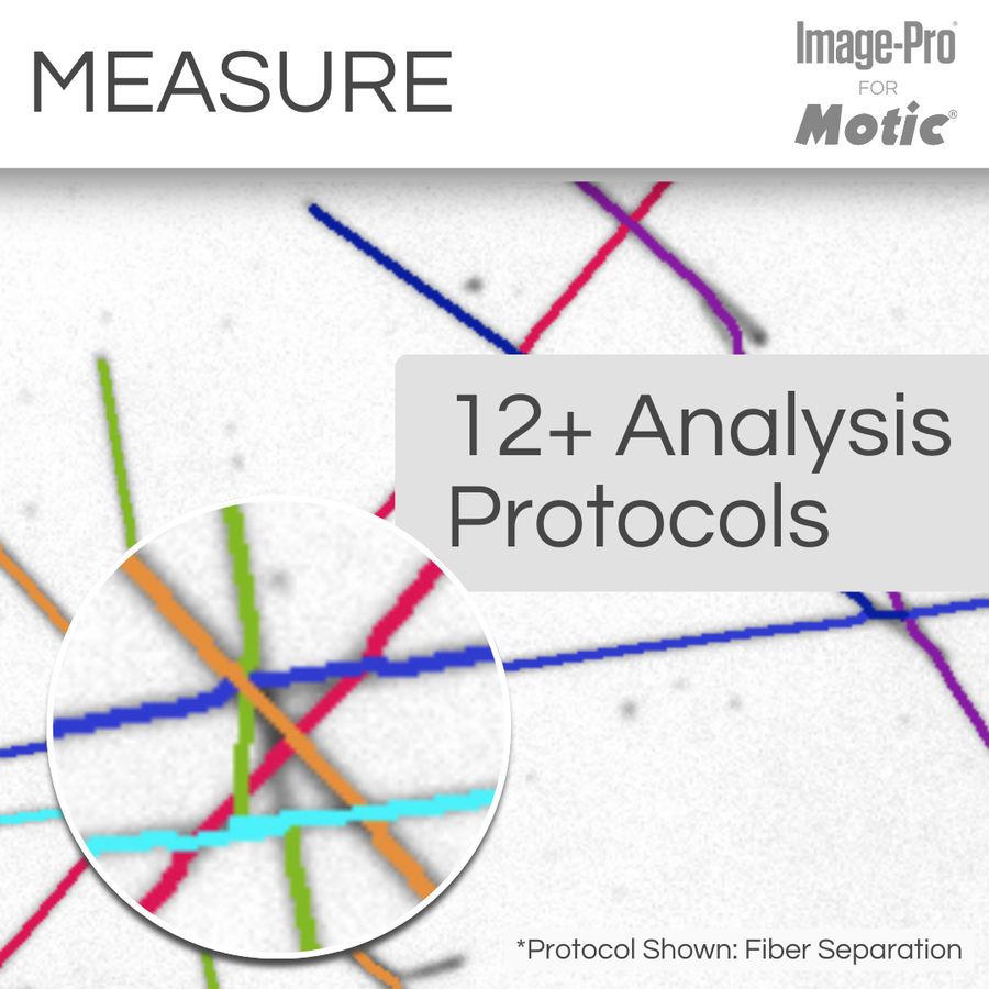 Panthera TEC MAT & Image-Pro® Analysis Package