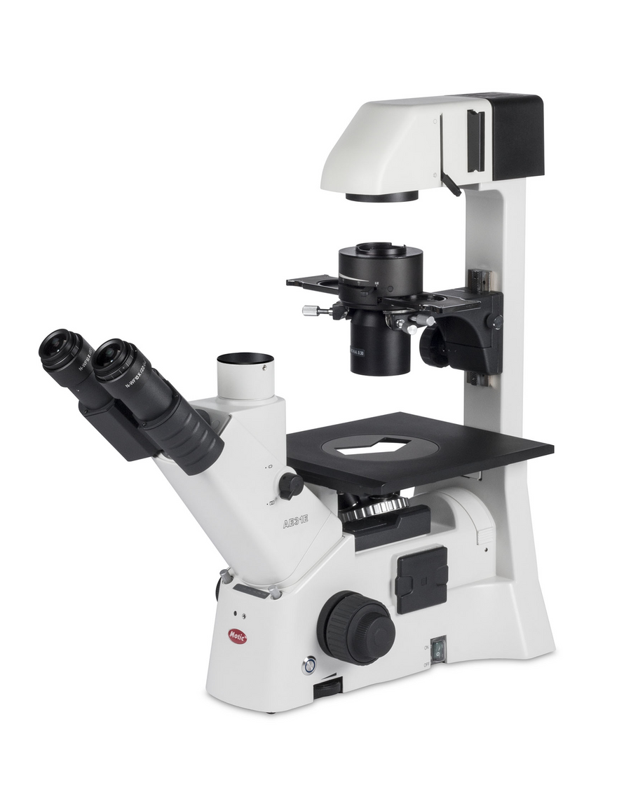 AE31 Elite - Motic Microscopes