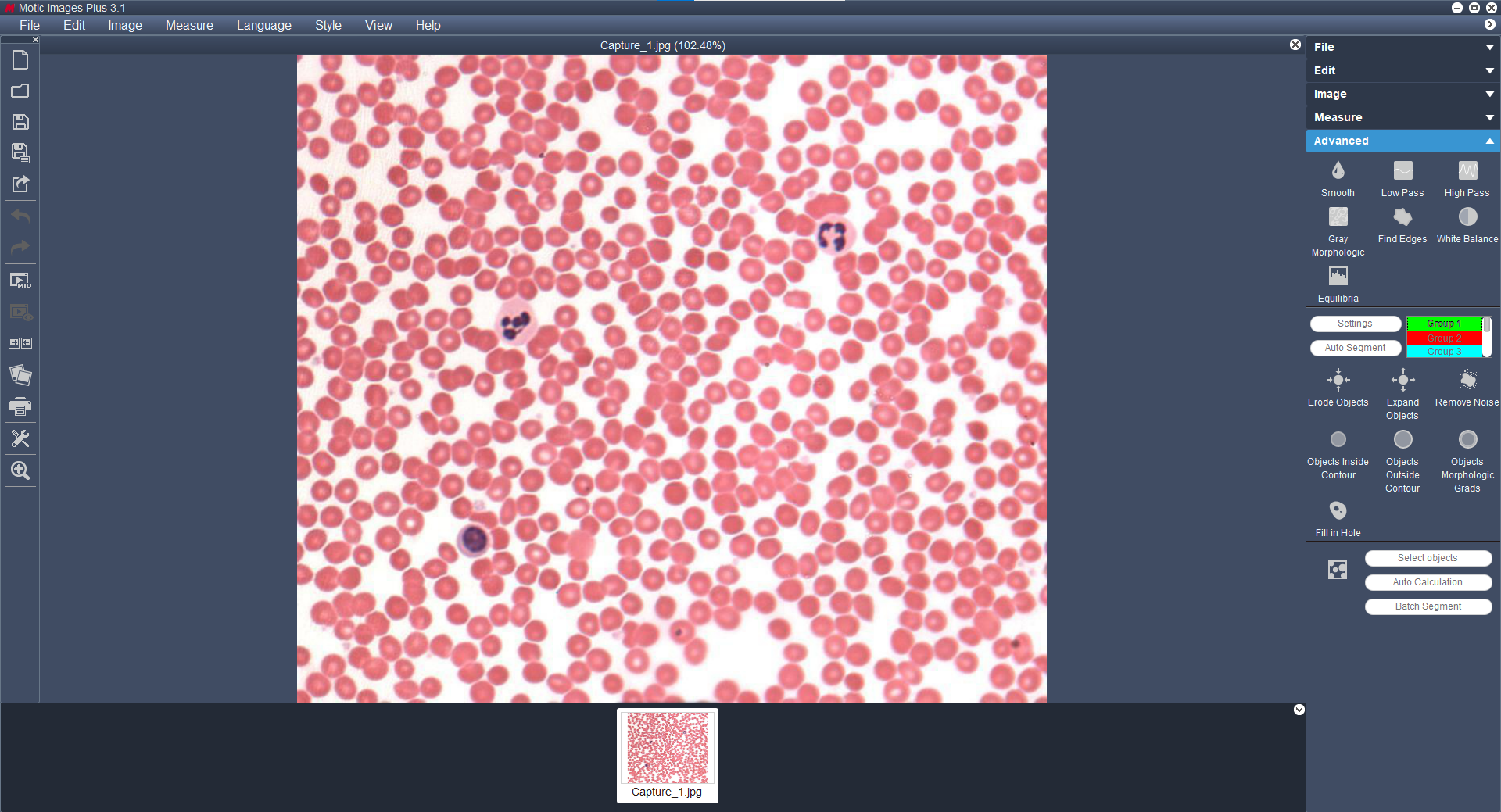 Motic Images Plus 3.1 Advanced (Includes USB Dongle) – Motic Microscopes